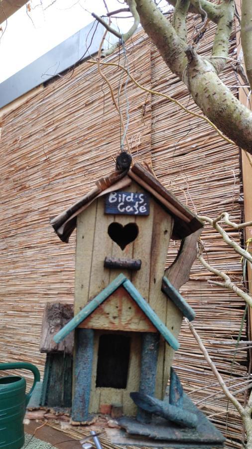 Fewo Bei Tati - Bungalow Singen Exterior photo